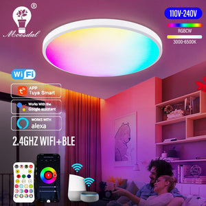 Ceiling Light Smart WIFI LED Round RGBCW Dimmable TUYA APP Alexa Google Compatible Ceiling Lights